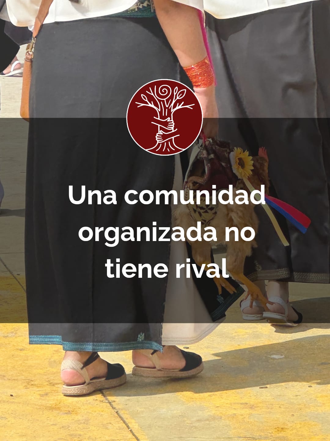 Tradición