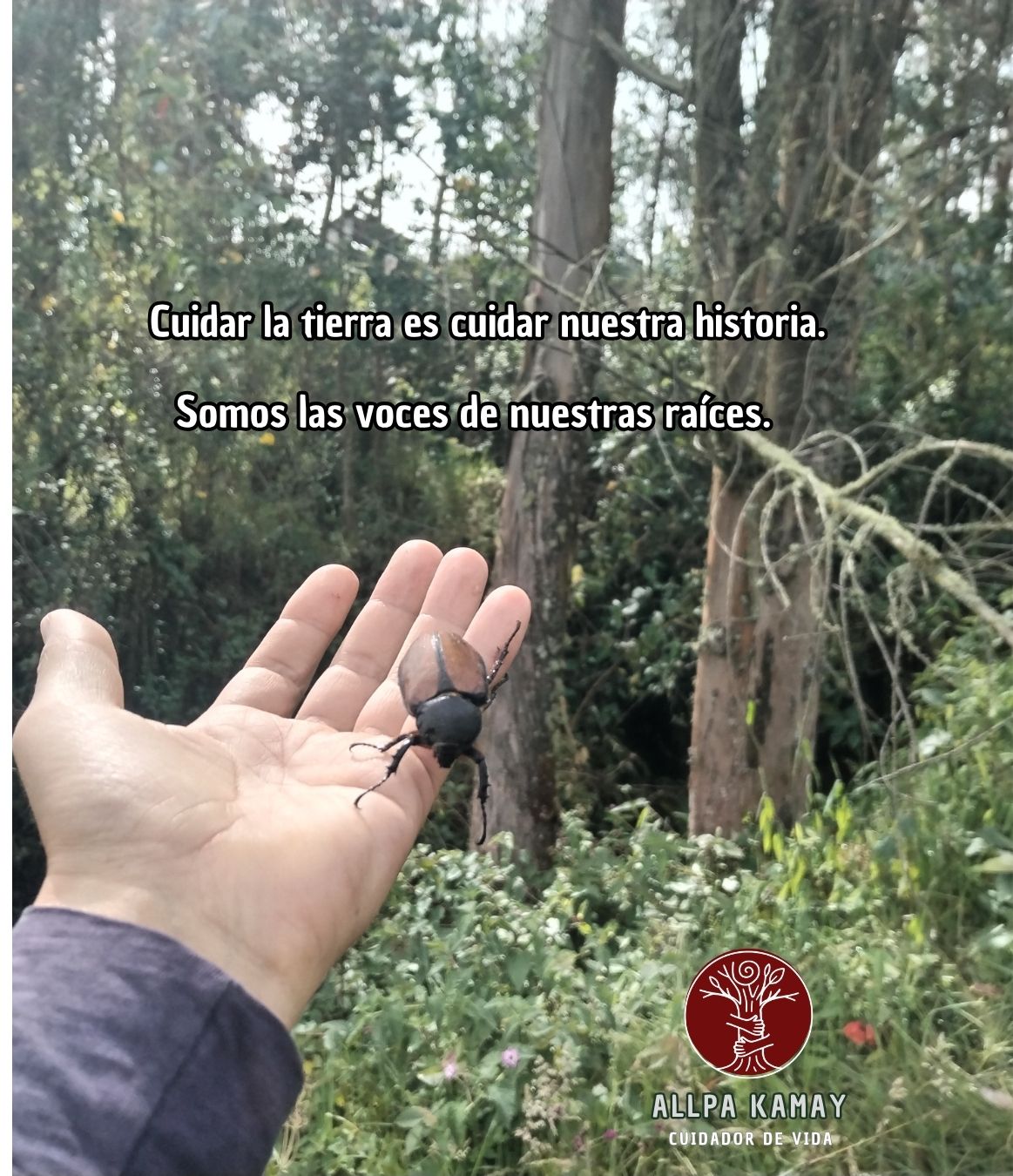 Justicia