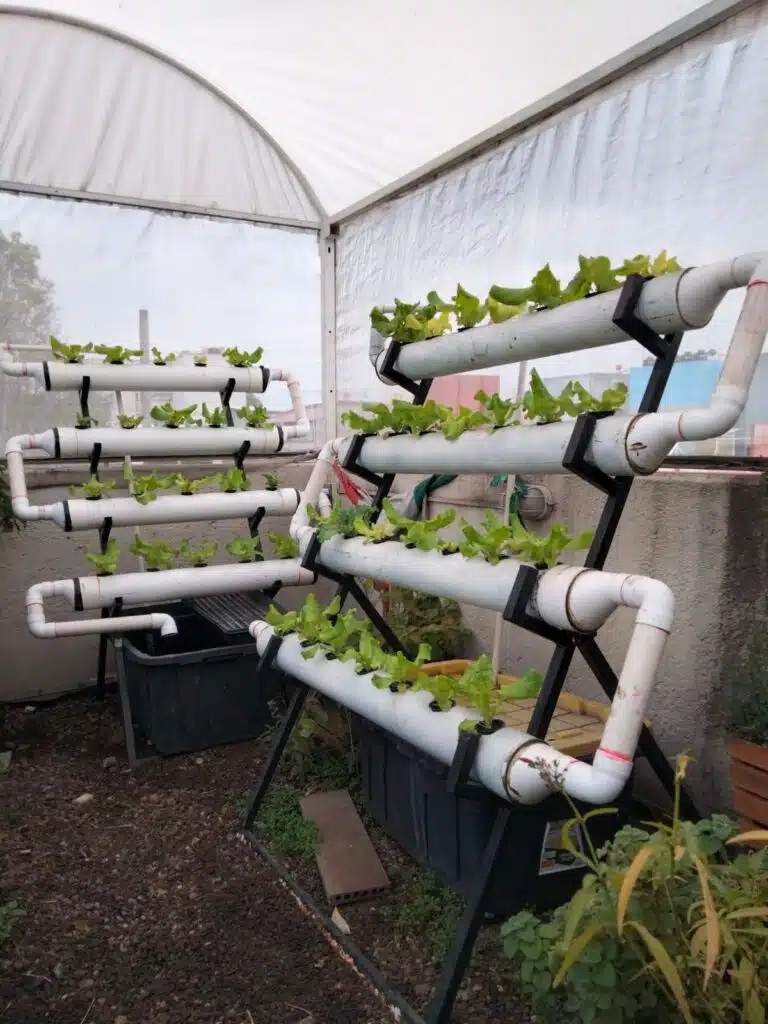 Agricultura Sostenible