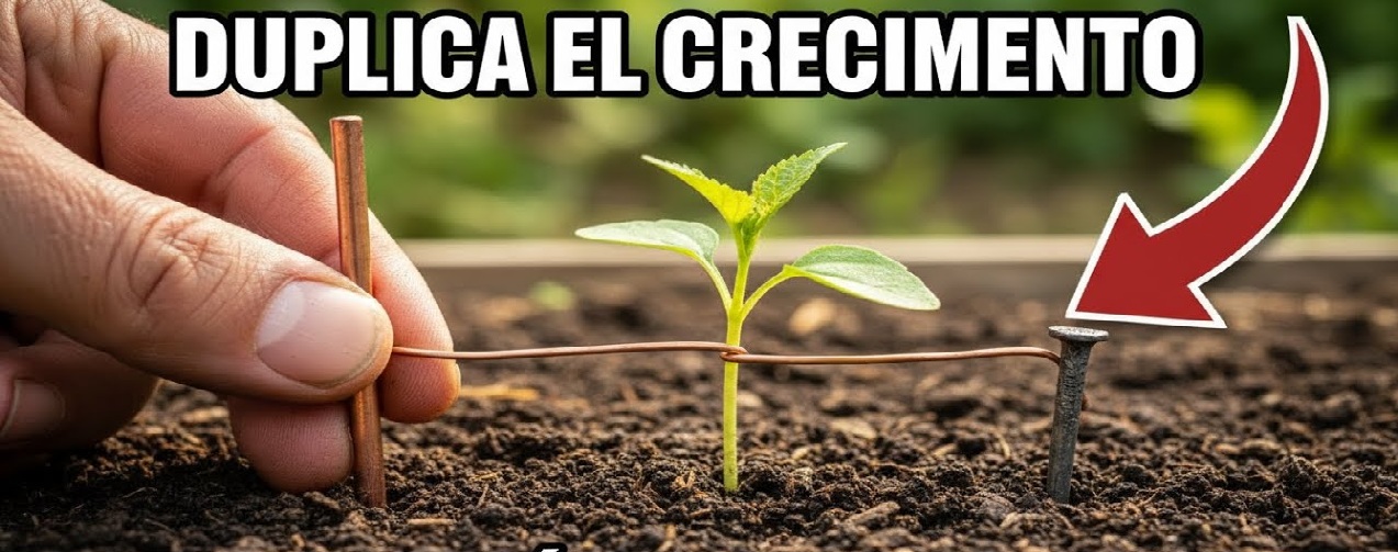 Agricultura Limpia